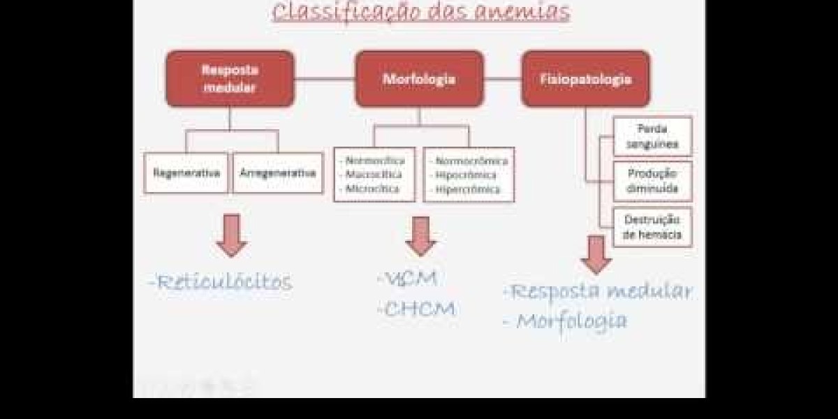 Identificando Doenças Gastrointestinais em Pets: O Papel Crucial dos Exames Laboratoriais