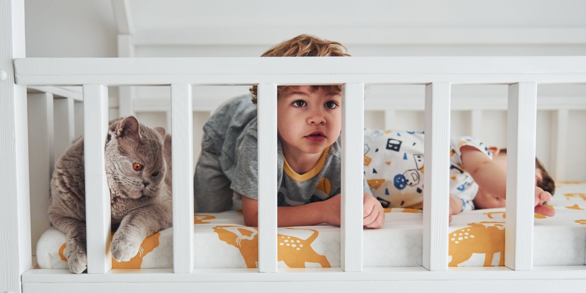 The Mini Cot Bed: A Comprehensive Guide for Modern Parents