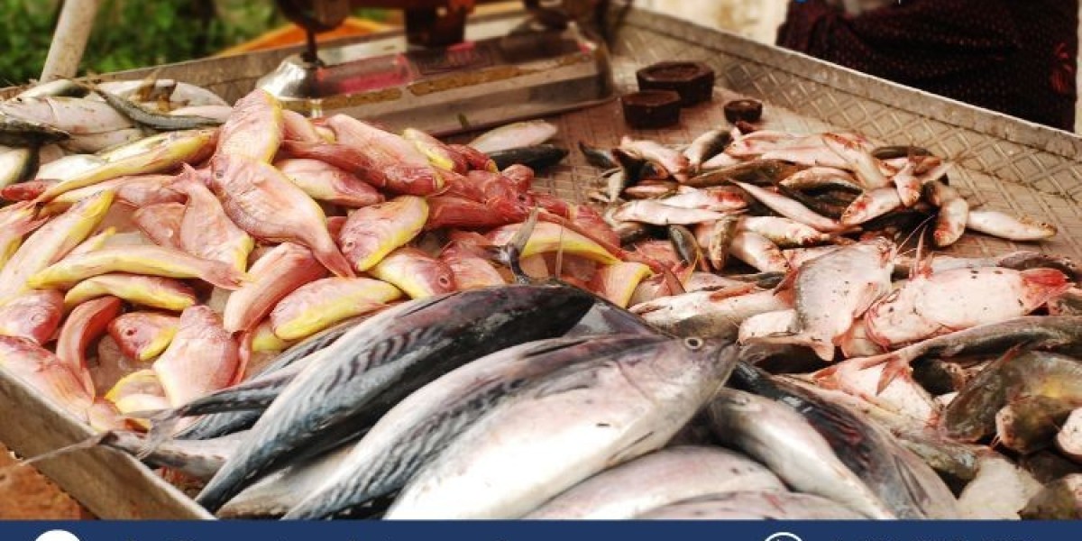 Fish Market Size, Share & Industry Analysis | 2034